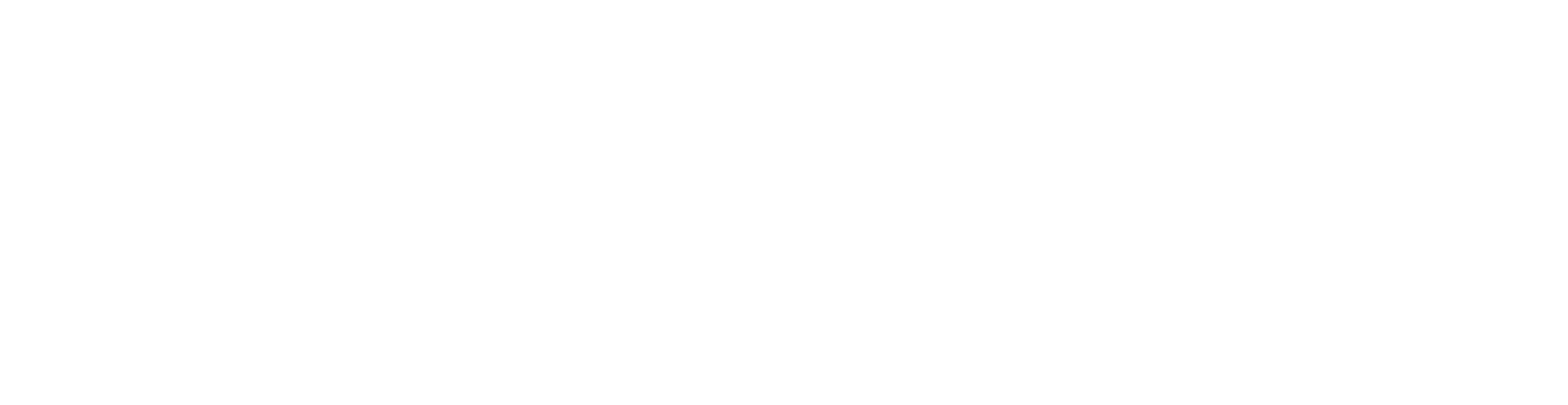 Everfit