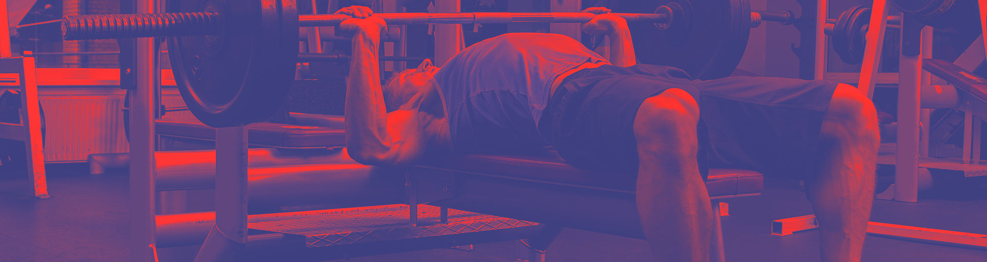 Weight Bench
